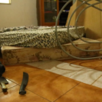 Mulher esfaqueada no pescoço está em coma e autora ganha liberdade