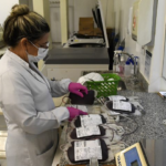 Para melhorar estoque, Hemosul recebe doações para atender rede hospitalar de MS