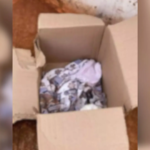 Bebê de 10 meses é abandonado em calçada de Ponta Porã no Dia das Mães