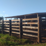 Polícia Militar Ambiental Autua Assentados em R$ 37.100,00 por exploração ilegal de madeira em Nioaque