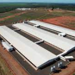 Cooperalfa investe R$ 140 milhões em UPL que será inaugurada hoje