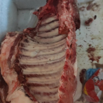 Polícia Civil fiscaliza mercado e prende mais um em flagrante delito