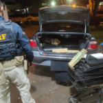 PRF apreende 248 Kg de maconha, skunk e haxixe em Dourados