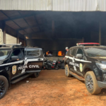 Polícia Civil incinera mais de 2 toneladas de maconha em Eldorado