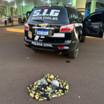 Polícia Civil intercepta lote de armas que seria levado para uma facção criminosa em São Paulo