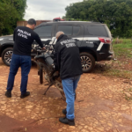 Polícia Civil recupera moto furtada em Dois Irmãos do Buriti