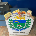 Polícia Militar prende homem por furto em estabelecimento comercial em Nova Andradina