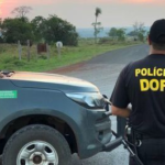 Passageiro de ônibus com destino a capital é preso pela DOF com 27 tabletes de maconha