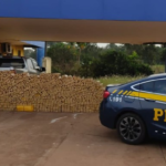 PRF apreende 1,3 tonelada de maconha em Água Clara 