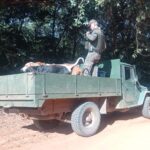 PMA prende em flagrante dois homens por matarem onças-pardas