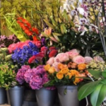 De flores a rodízio de pizzas, pesquisa do Procon/MS indica variação de preços no Dia dos Namorados