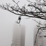 Manhã fria e tarde ensolarada é a previsão para MS neste sábado