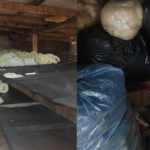 Empresário é preso com 1,5 tonelada de tripa estragada em fábrica