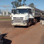 PRF apreende 6,8 toneladas de maconha em Campo Grande
