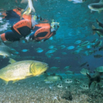 Turismo de MS faz capacitação sobre principais destinos na Convenção Anual BWT