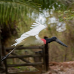 Turismo de MS capacita agentes de viagens durante a Travel Next Minas