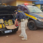 PRF apreende 351 Kg de maconha em Guia Lopes da Laguna