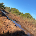 Moradores do Assentamento Geraldo Garcia pedem que seja vistoriado a área de preservação ambiental