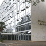 Brasil tem primeiro caso de influenza aviária em aves domésticas