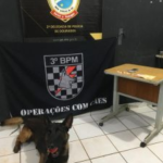 “Irmãs do tráfico” são presas pela Polícia Civil em Dourados