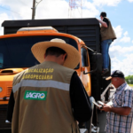 Governo decreta estado de alerta zoosanitário e cria sistema de monitoramento de prevenção à gripe aviária