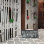 PMA de Campo Grande prende e autua dois homens por maus-tratos a animais (rinha de galo)