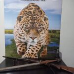 PMA de Cassilândia prende homem por posse ilegal de arma de fogo