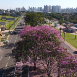 Terça-feira de tempo seco e quente com pouca possibilidade de chuva em todo o Estado