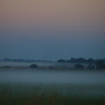 Frio continua em MS nesta sexta-feira, com mínima de 7°C na região sul e possibilidade de geada