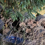 Motorista morre ao perder controle de caminhão na BR-163 em MS