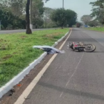 Pedestre morre atropelado por moto na BR-262