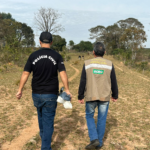 Polícia Civil e IAGRO realizam ação conjunta contra maus-tratos de bovinos em Campo Grande