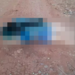 Dona da casa onde criança foi trocada por droga é assassinada após sequestro