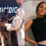 Polícia encerra buscas com cão farejador por adolescente desaparecida há 18 dias em Taquarussu