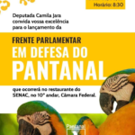 Deputada Camila Jara convida a todos para o lançamento da Frente Parlamentar em Defesa do Pantanal