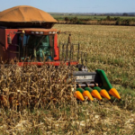 Com forte reação do agro, MS gerou 3 mil empregos em junho e tem estoque de trabalho recorde