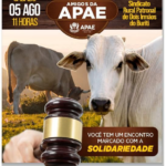 Leilão da APAE de Dois Irmãos do Buriti será dia 05 de agosto