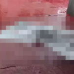 Suspeito de matar morador de rua com 18 facadas é condenado a 16 anos de prisão em Sidrolândia