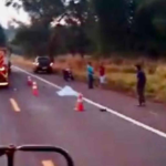 Motociclista que seguia para o trabalho morre na BR-267 após atropelar anta