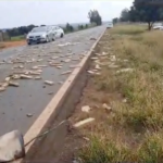 Traficante morre ao colidir de frente com caminhão e deixa meia tonelada de maconha espalhada por rodovia