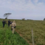 Com drone, polícia e bombeiros intensificam buscas por adolescente desaparecida