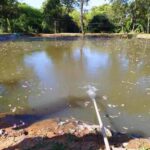 Menina de 9 anos morre afogada ao cair em tanque de peixes em fazenda 