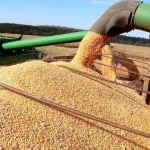 Exportações agropecuárias devem chegar 95 milhões de toneladas