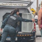 Motorista invade contramão, causa acidente com 3 carros e acaba na delegacia