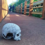 Crânio humano é encontrado na passagem de pedestres em ponte