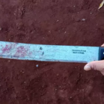 Mulher mata adolescente com facão e diz que foi para proteger a filha