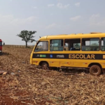 Ônibus escolar capota e 16 ficam feridos em Rio Brilhante