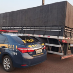 PRF apreende reboque adulterado em Rio Brilhante
