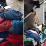 Adolescentes são colocados de joelhos e agredidos por ladrão que invadiu casa no Monte Castelo