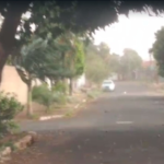 Rajadas de ventos podem ter atingido 80km/h durante temporal em Campo Grande